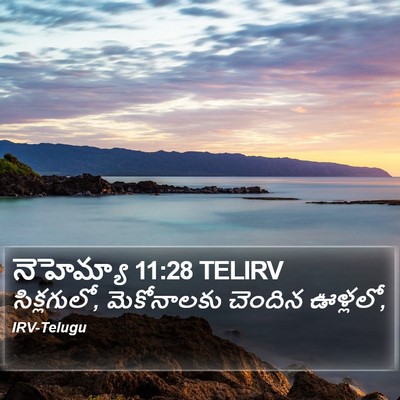 నెహెమ్యా 11:28 TELIRV Bible Verse Image