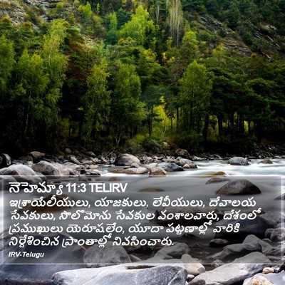 నెహెమ్యా 11:3 TELIRV Bible Verse Image