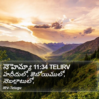 నెహెమ్యా 11:34 TELIRV Bible Verse Image