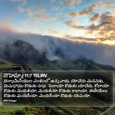 నెహెమ్యా 11:7 TELIRV Bible Verse Image