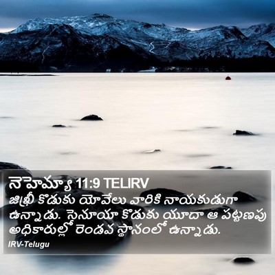 నెహెమ్యా 11:9 TELIRV Bible Verse Image