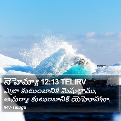 నెహెమ్యా 12:13 TELIRV Bible Verse Image