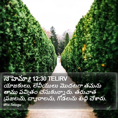 నెహెమ్యా 12:30 TELIRV Bible Verse Image