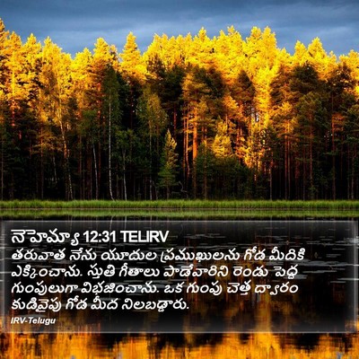 నెహెమ్యా 12:31 TELIRV Bible Verse Image