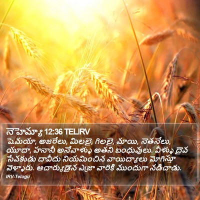 నెహెమ్యా 12:36 TELIRV Bible Verse Image