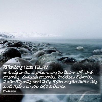 నెహెమ్యా 12:39 TELIRV Bible Verse Image