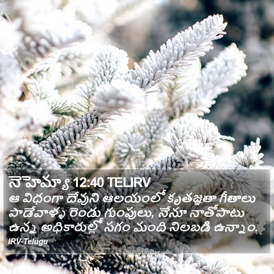 నెహెమ్యా 12:40 TELIRV Bible Verse Image