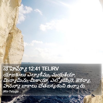 నెహెమ్యా 12:41 TELIRV Bible Verse Image