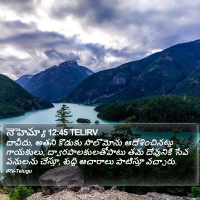 నెహెమ్యా 12:45 TELIRV Bible Verse Image