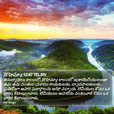 నెహెమ్యా 12:47 TELIRV Bible Verse Image
