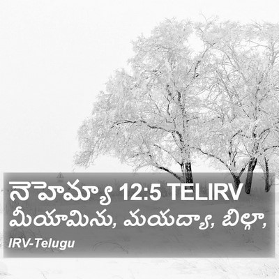 నెహెమ్యా 12:5 TELIRV Bible Verse Image