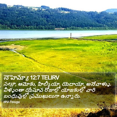 నెహెమ్యా 12:7 TELIRV Bible Verse Image