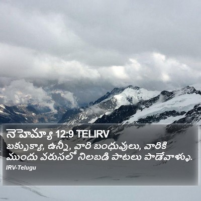 నెహెమ్యా 12:9 TELIRV Bible Verse Image