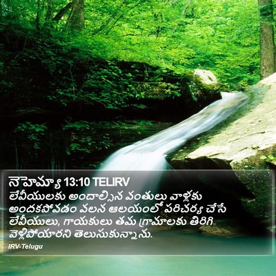 నెహెమ్యా 13:10 TELIRV Bible Verse Image