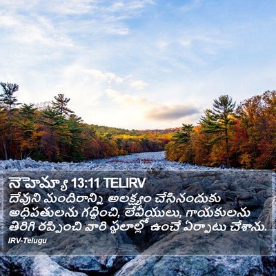 నెహెమ్యా 13:11 TELIRV Bible Verse Image