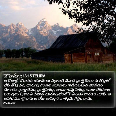 నెహెమ్యా 13:15 TELIRV Bible Verse Image