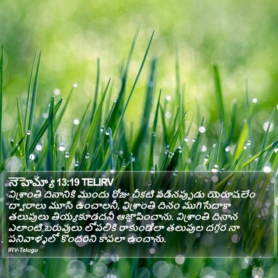 నెహెమ్యా 13:19 TELIRV Bible Verse Image