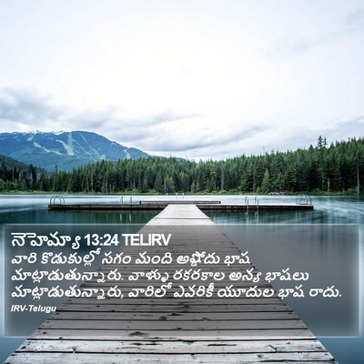 నెహెమ్యా 13:24 TELIRV Bible Verse Image
