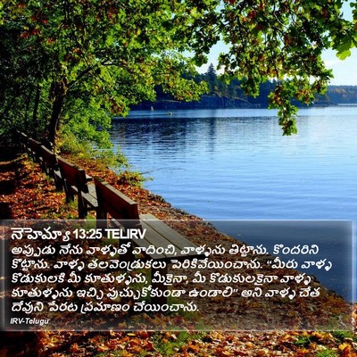 నెహెమ్యా 13:25 TELIRV Bible Verse Image
