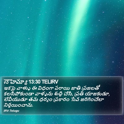 నెహెమ్యా 13:30 TELIRV Bible Verse Image