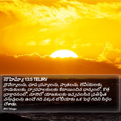 నెహెమ్యా 13:5 TELIRV Bible Verse Image