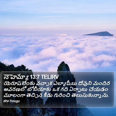 నెహెమ్యా 13:7 TELIRV Bible Verse Image