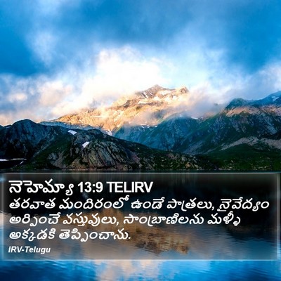 నెహెమ్యా 13:9 TELIRV Bible Verse Image