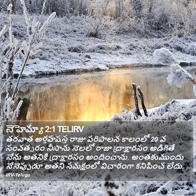 నెహెమ్యా 2:1 TELIRV Bible Verse Image
