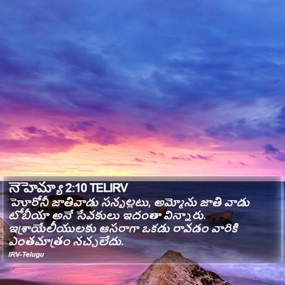 నెహెమ్యా 2:10 TELIRV Bible Verse Image