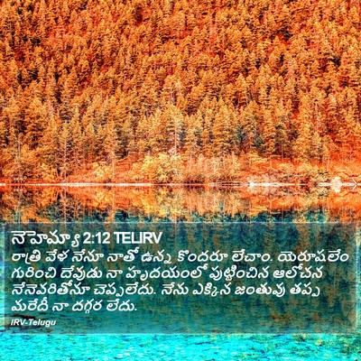 నెహెమ్యా 2:12 TELIRV Bible Verse Image