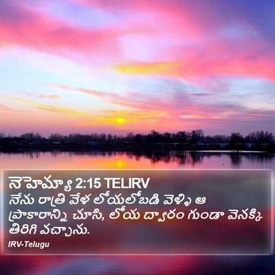 నెహెమ్యా 2:15 TELIRV Bible Verse Image