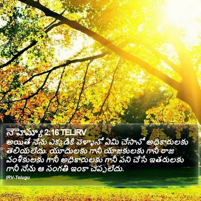నెహెమ్యా 2:16 TELIRV Bible Verse Image