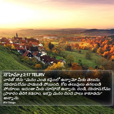 నెహెమ్యా 2:17 TELIRV Bible Verse Image