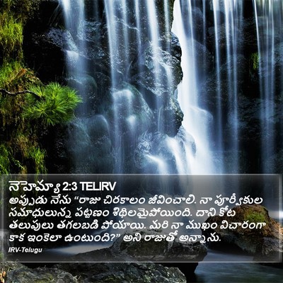 నెహెమ్యా 2:3 TELIRV Bible Verse Image
