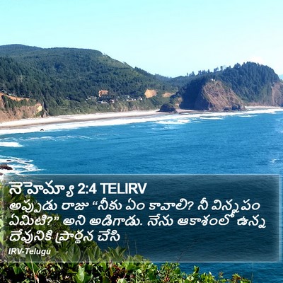 నెహెమ్యా 2:4 TELIRV Bible Verse Image