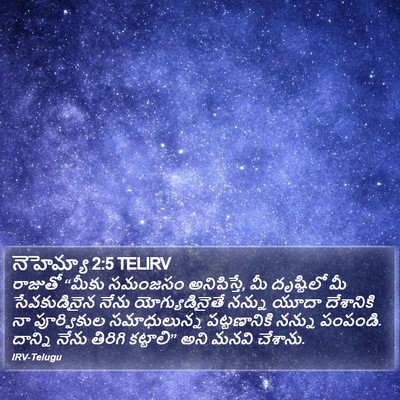నెహెమ్యా 2:5 TELIRV Bible Verse Image