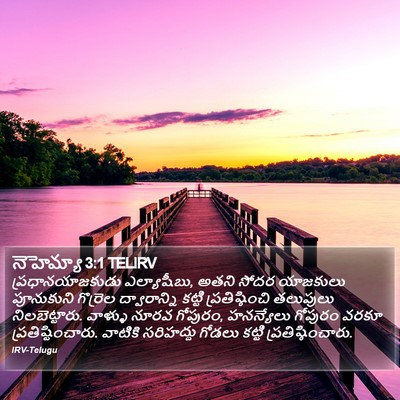 నెహెమ్యా 3:1 TELIRV Bible Verse Image