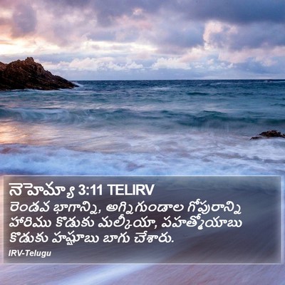 నెహెమ్యా 3:11 TELIRV Bible Verse Image