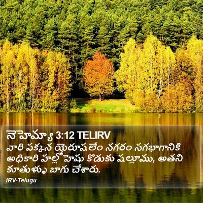 నెహెమ్యా 3:12 TELIRV Bible Verse Image