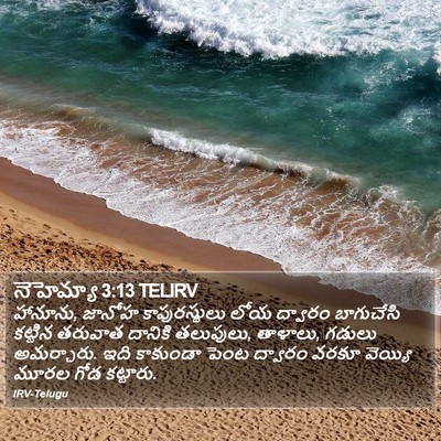 నెహెమ్యా 3:13 TELIRV Bible Verse Image