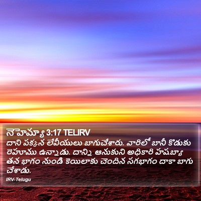 నెహెమ్యా 3:17 TELIRV Bible Verse Image