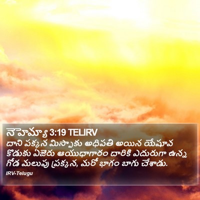 నెహెమ్యా 3:19 TELIRV Bible Verse Image