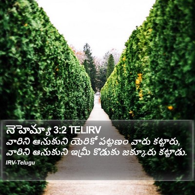 నెహెమ్యా 3:2 TELIRV Bible Verse Image