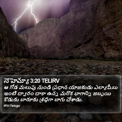 నెహెమ్యా 3:20 TELIRV Bible Verse Image
