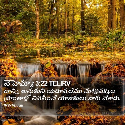 నెహెమ్యా 3:22 TELIRV Bible Verse Image