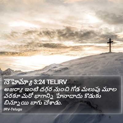 నెహెమ్యా 3:24 TELIRV Bible Verse Image