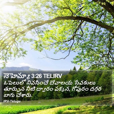 నెహెమ్యా 3:26 TELIRV Bible Verse Image