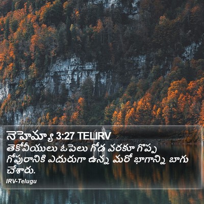 నెహెమ్యా 3:27 TELIRV Bible Verse Image
