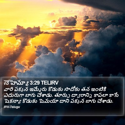 నెహెమ్యా 3:29 TELIRV Bible Verse Image
