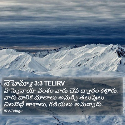 నెహెమ్యా 3:3 TELIRV Bible Verse Image